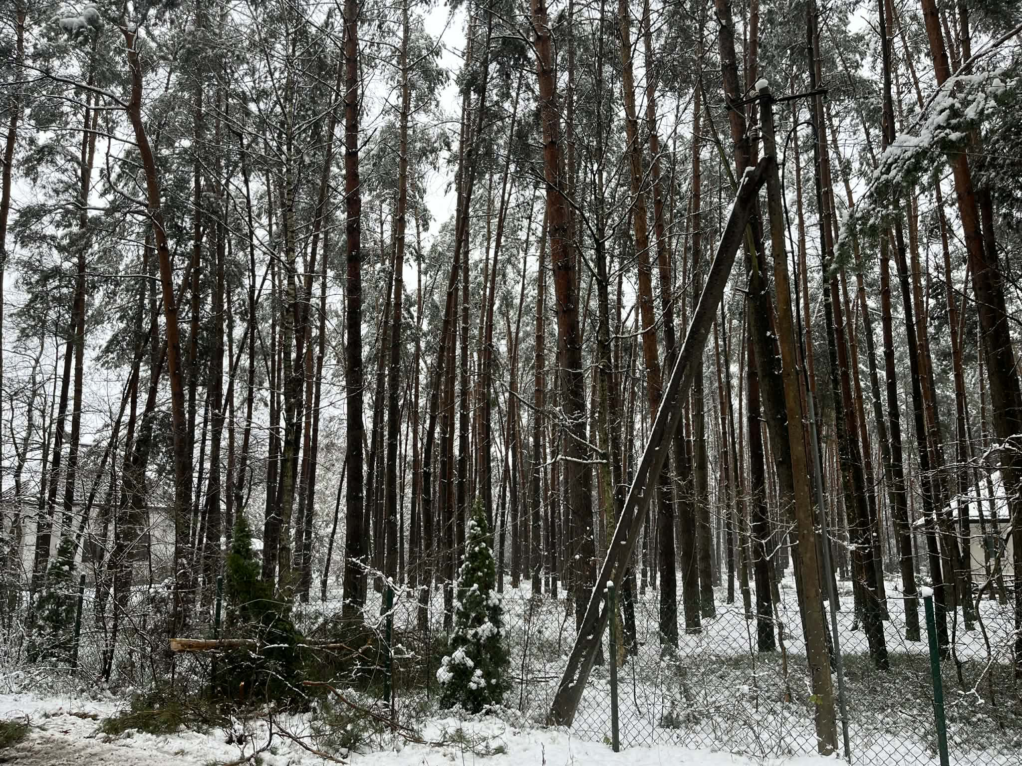 Śnieg zbity przez nijakość